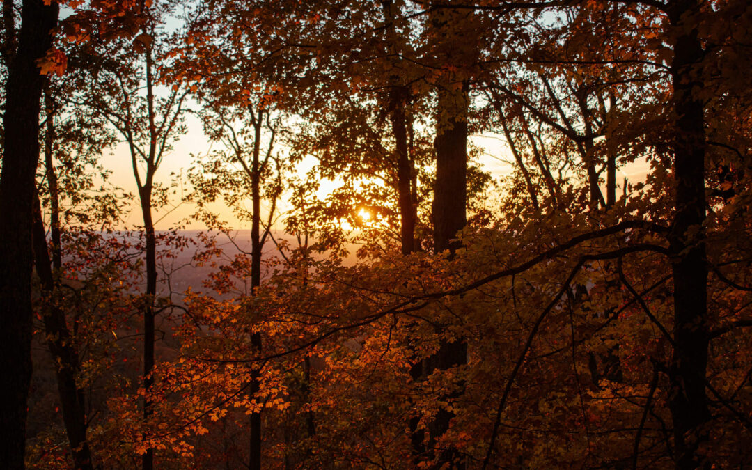 Family Is Not a Fixed Label